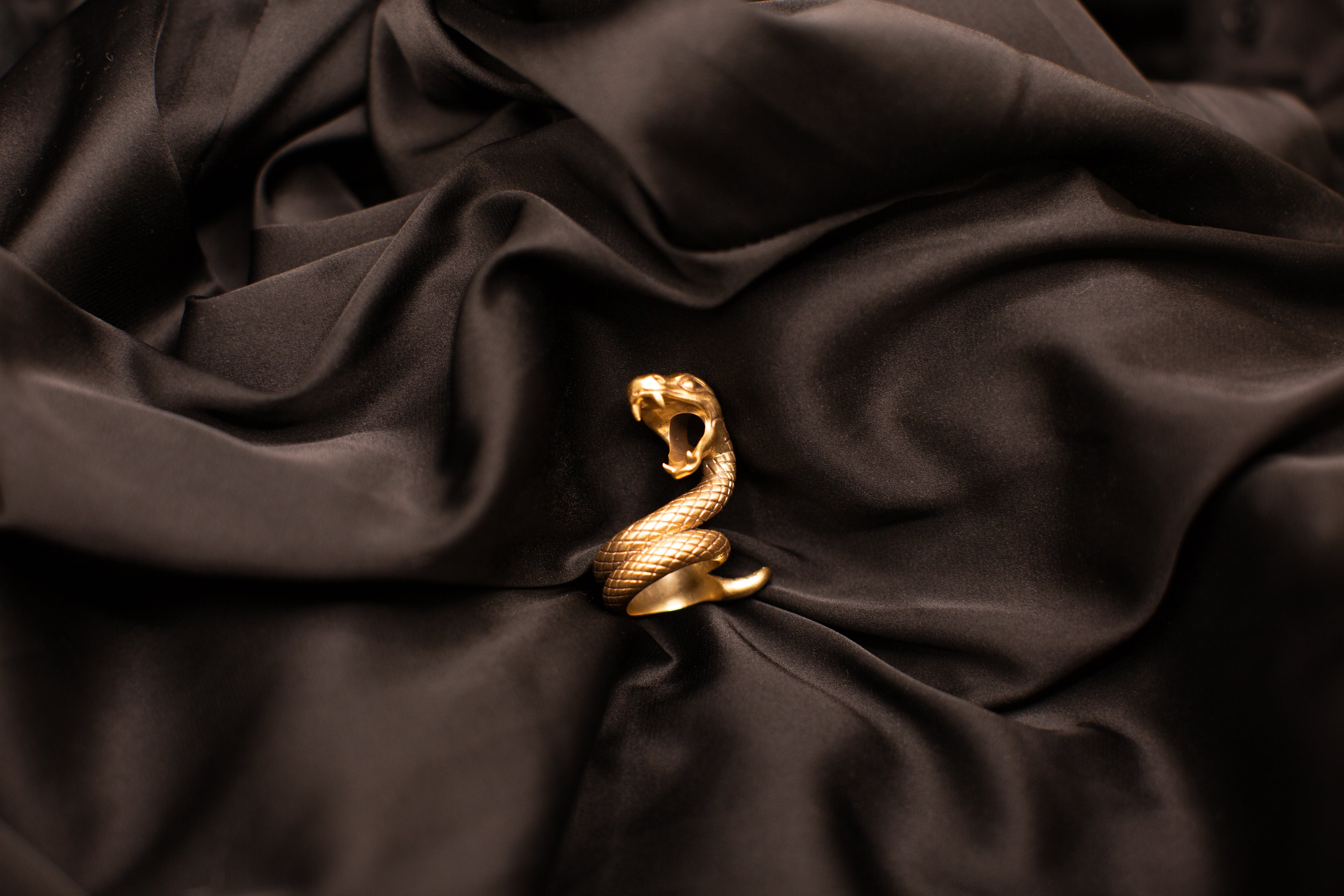 The Serpent’s Coil Ring<br>PRE-ORDER