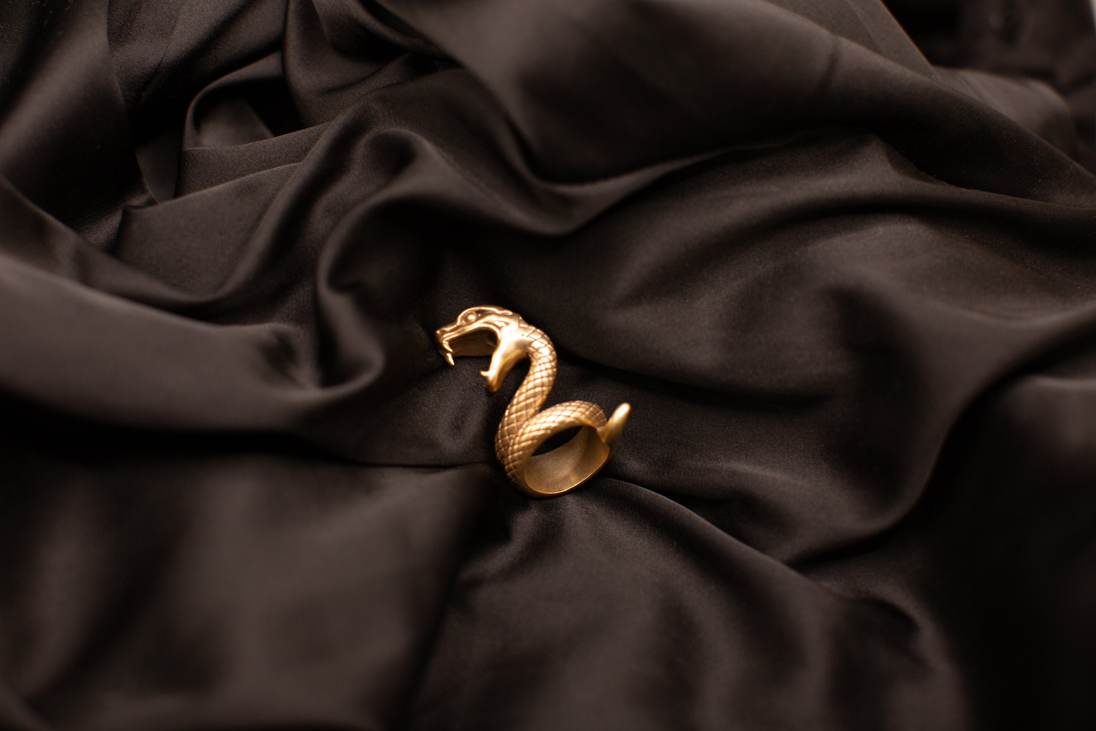 The Serpent’s Coil Ring<br>PRE-ORDER