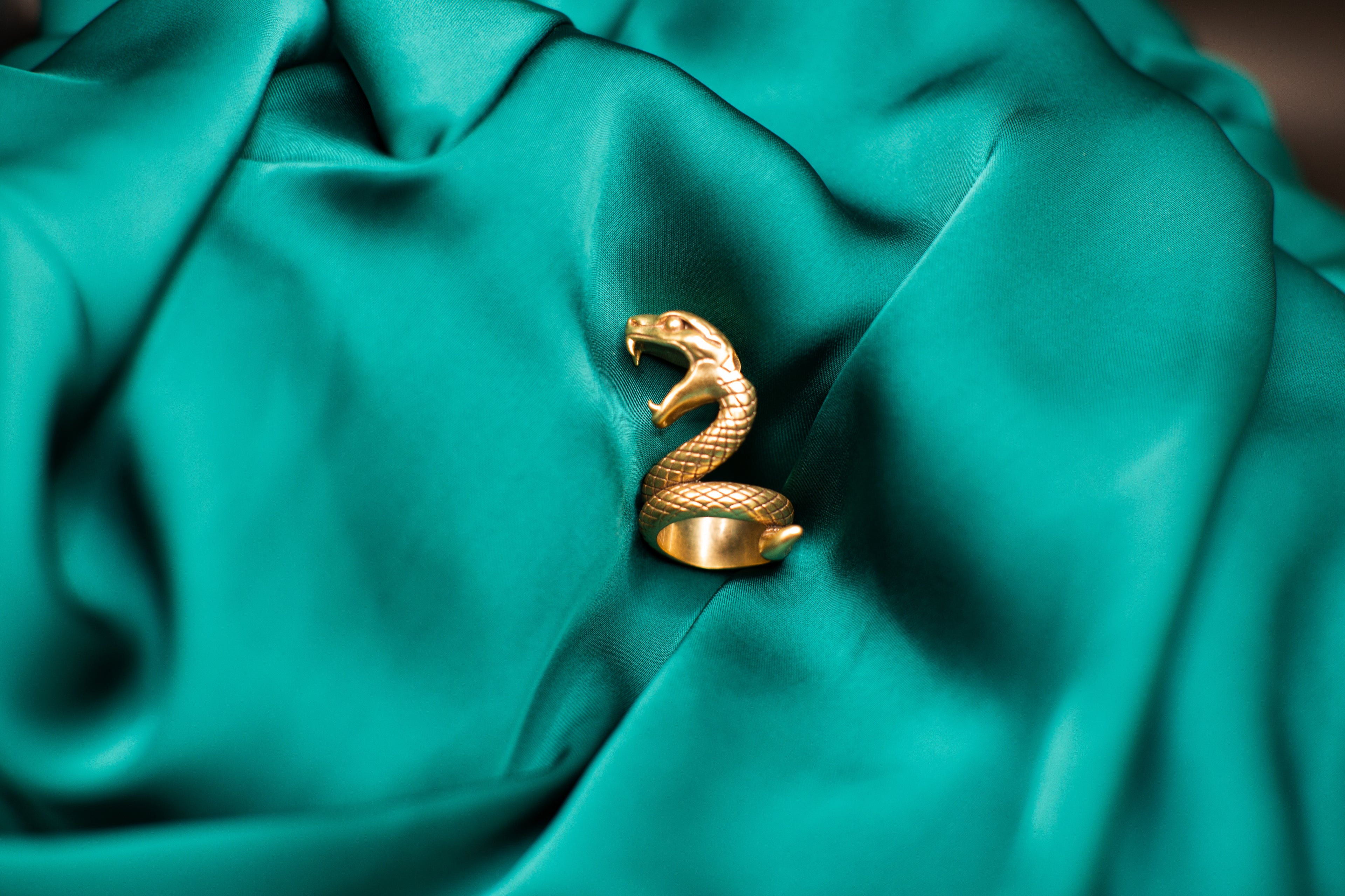 The Serpent’s Coil Ring<br>PRE-ORDER