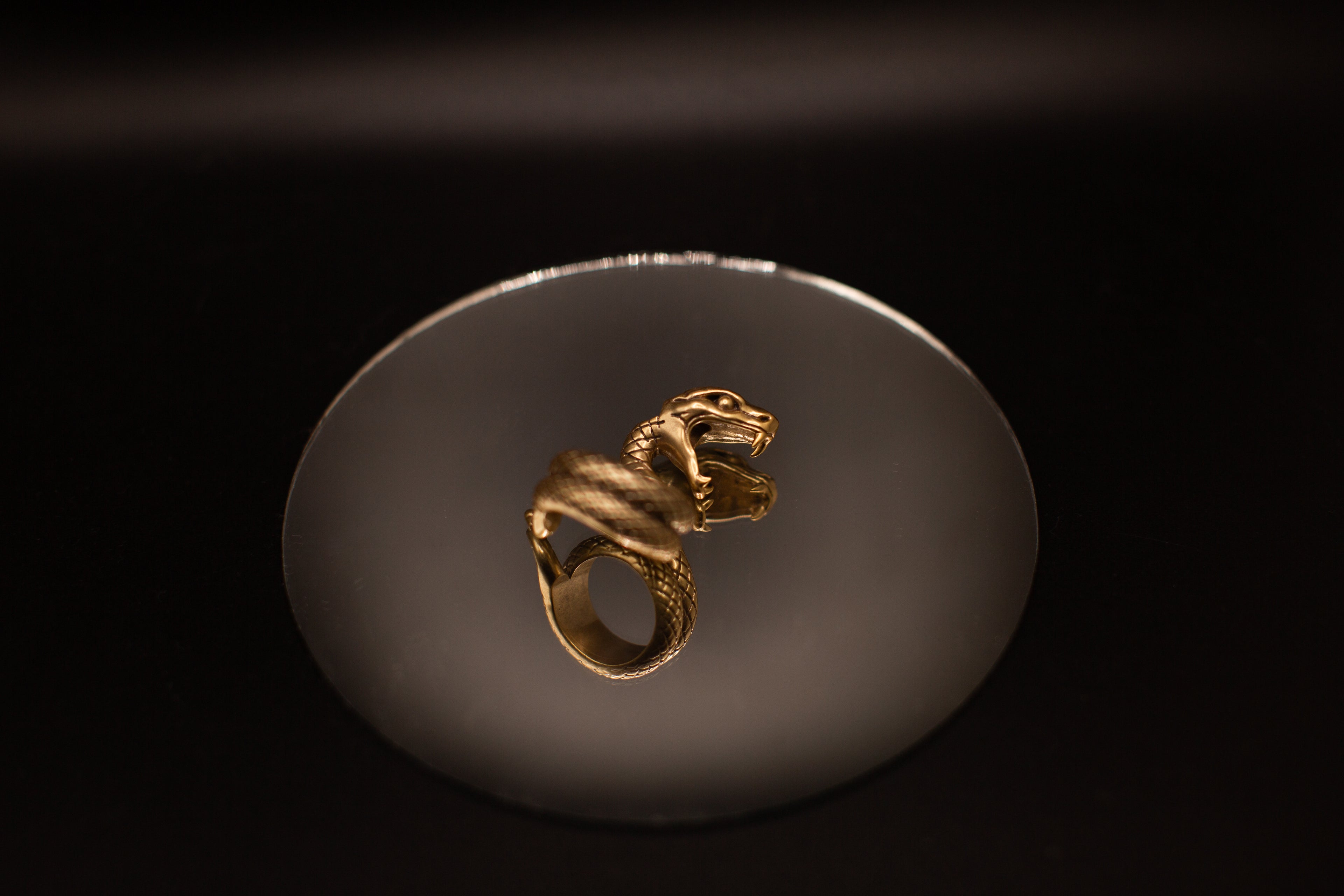 The Serpent’s Coil Ring<br>PRE-ORDER